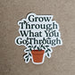 Grow Through What You Go Through Sticker - 2" Vinyl Plant Pot Decal